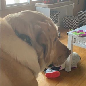 Meet your Posher, Tracey